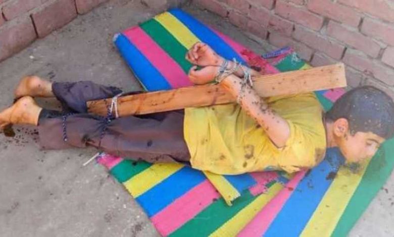 طفل-العسل-في-شبين-القناطر