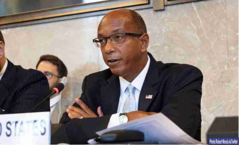 Robert Wood, US ambassador