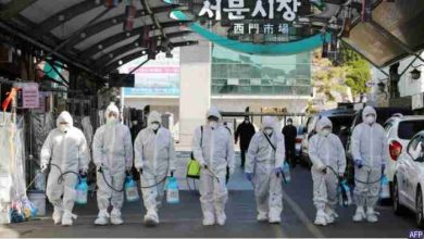 South Korea covid 19 cases