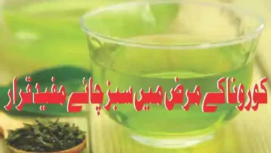 green tea covid19 study uk