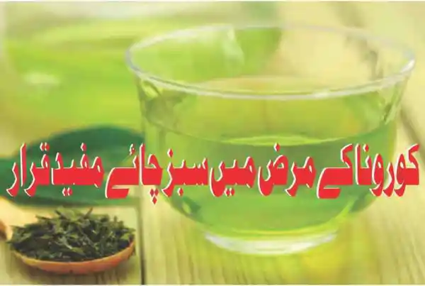 green tea covid19 study uk