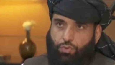 mohammad suhail shaheen taliban