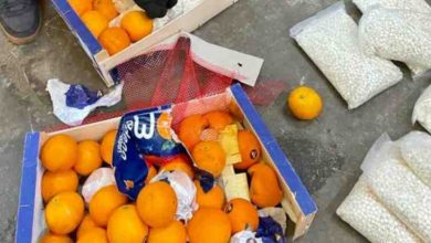 saudi-arabia-seizes-4-5-million-amphetamine-pills-hidden-in-oranges