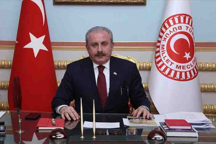 Mustafa Sentop