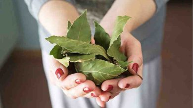 bay-leaf-health-benefits