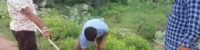 brutal assault with a young man in Nagod of Satna