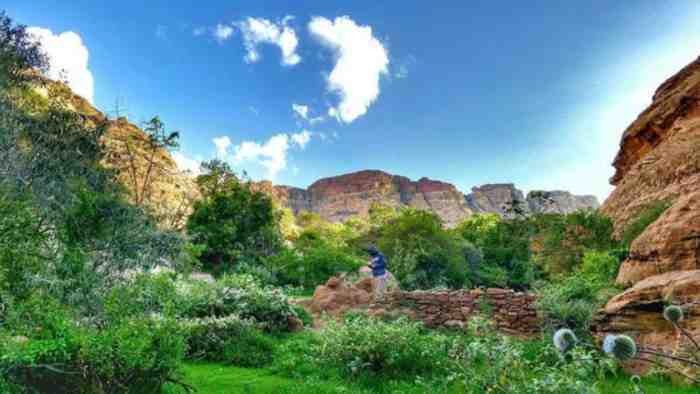 saudi-arabia-mountain-caves-and-waterfalls-in-the-middle-of-a-park