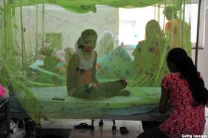 Dengue is the leading cause of death among children in Ferozabad