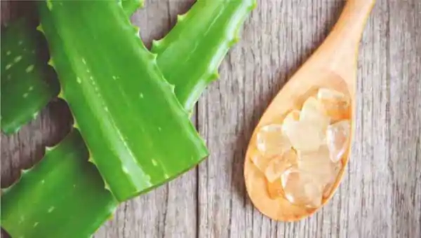 aloe vera natural remedy