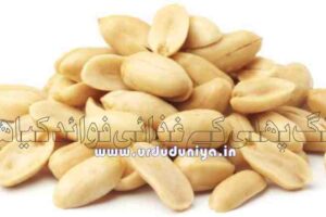 benefits-of-peanuts-are-rich-in-protein-fat-and-fiber