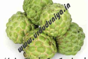 custard apples