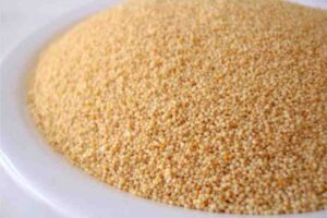 opium poppy or breadseed poppy