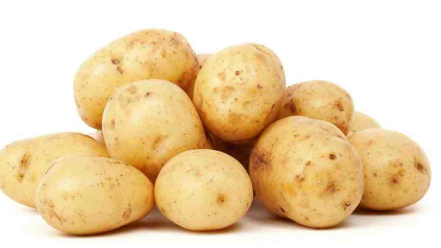 potato