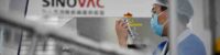 sinovac corona vaccine
