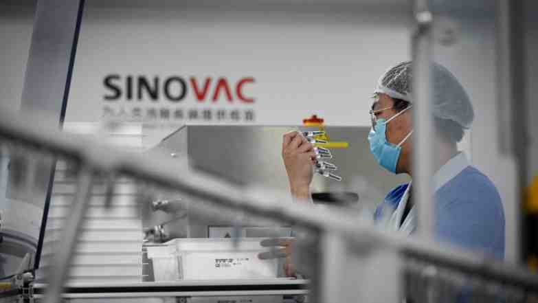 sinovac corona vaccine