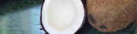 Benefits of Coconut