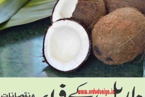 Benefits of Coconut