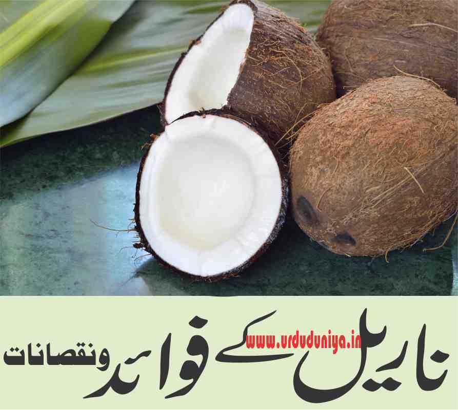 Benefits of Coconut