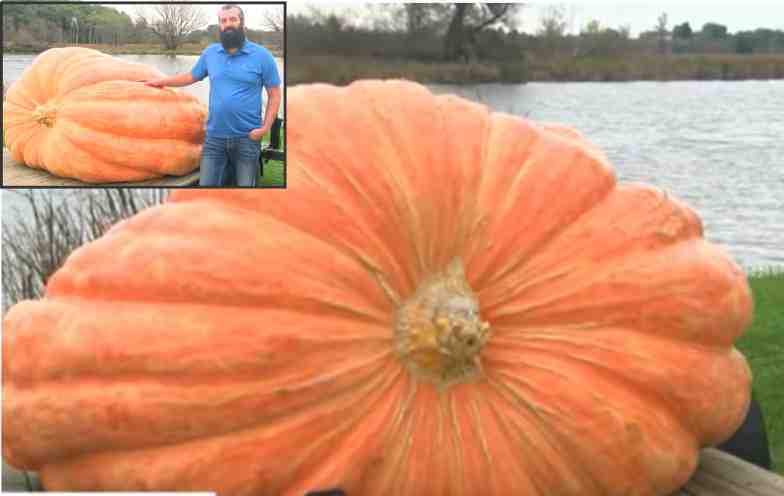 Minor defect in the heaviest pumpkin, the farmer lost thousands of dollars