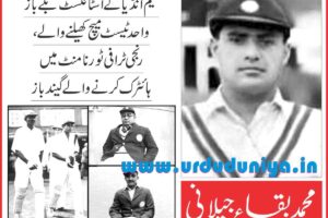 a-right-arm-medium-fast-bowler-and-a-useful-late-order-batsman-baqa-jilani