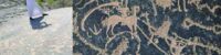 centuries-old-impressions-discovered-by-chance-in-tabuk