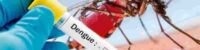 dengue