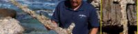 diver-discovers-900-year-old-sword-of-the-crusades-in-the-mediterranean