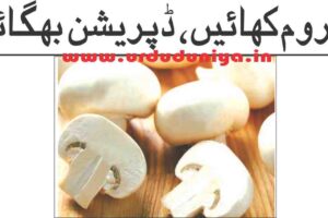 eat-mushrooms-get-rid-of-depression