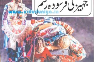 #effects-of-dowry-system,