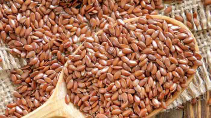 the-use-of-linseed-has-amazing-benefits-for-women