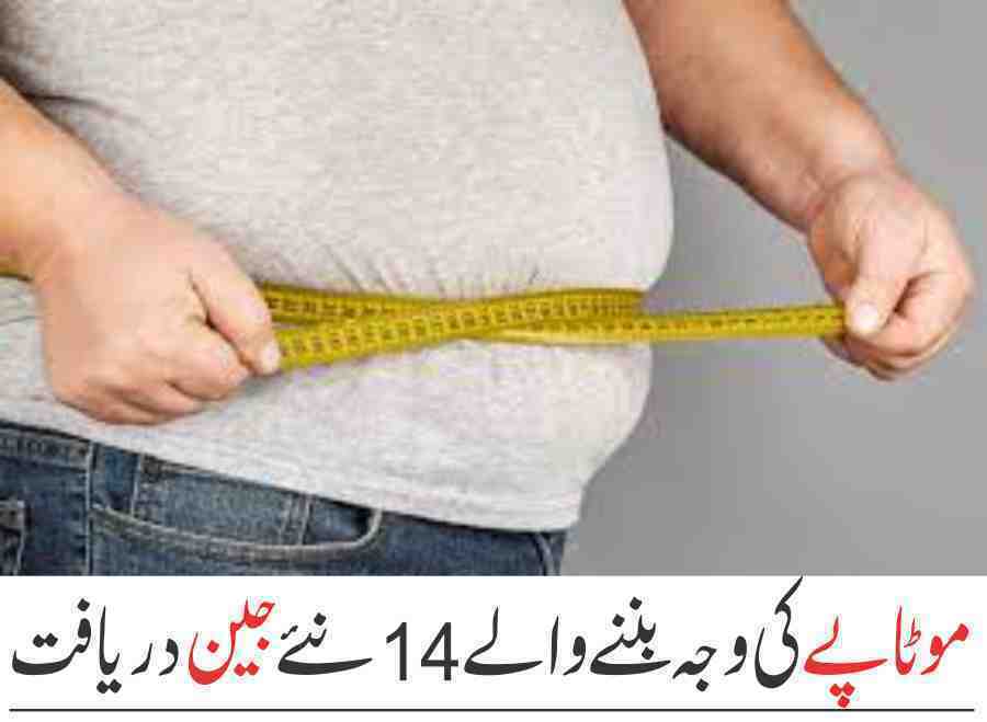 Discovery of 14 new genes that cause obesity