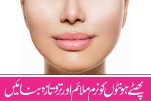 Soften and refresh chapped lips