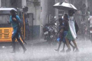 Rainfall in Tamil Nadu worsens: High Court reprimands government