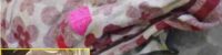 egypt-a-ruthless-husband-killed-his-wife-and-buried-her-in-the-courtyard-of-the-house-to-a-depth-of-four-meters