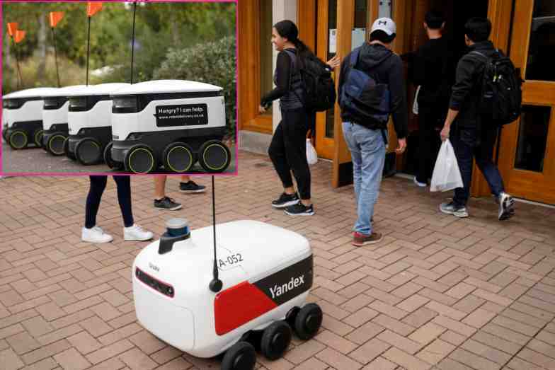 The use of robots to deal with the growing demand for food delivery