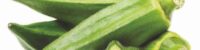 Treatment of cancer in green vegetable Bhindi Okra lady finger