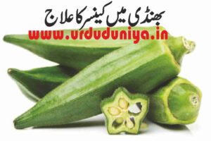 Treatment of cancer in green vegetable Bhindi Okra lady finger
