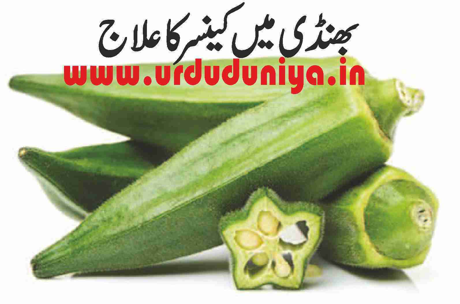 Treatment of cancer in green vegetable Bhindi Okra lady finger
