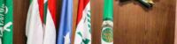 assistant-secretary-general-of-the-league-of-arab-nations-saeed-abu-ali