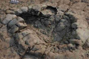 Discovery of dinosaur footprints found millions of years ago footprints