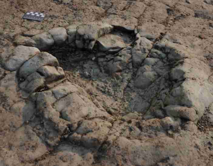 Discovery of dinosaur footprints found millions of years ago footprints