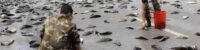 In Texas when it started raining fish from the sky