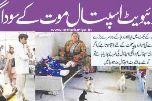 winter-fruits-and-their-health-benefits