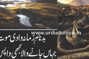 The-Kamchatka-Peninsula-valley-of-death