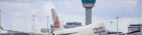 How did the person hiding in the wheels of the plane survive the 11-hour flight?
