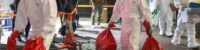 hong-kong-corona-threat-hong-kong-2000-animals-will-be-killed