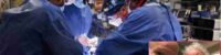 organ-transplantation-us-surgeons-operation-an-american-citizen-was-given-the-heart-of-a-genetically-modified-pig