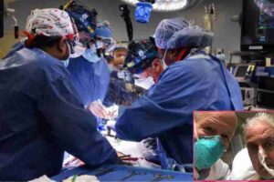 organ-transplantation-us-surgeons-operation-an-american-citizen-was-given-the-heart-of-a-genetically-modified-pig