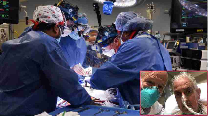organ-transplantation-us-surgeons-operation-an-american-citizen-was-given-the-heart-of-a-genetically-modified-pig