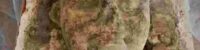 two-more-ancient-statues-such-as-the-sphinx-were-discovered-in-egypt-and-german-experts